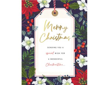 C50 OPEN PETALS XMAS 6S