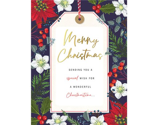 C50 OPEN PETALS XMAS 6S