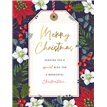 C50 OPEN PETALS XMAS 6S