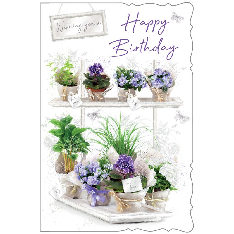 C75 OPEN BIRTHDAY EVERYDAY 6S