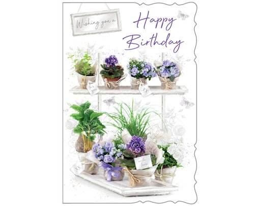 C75 OPEN BIRTHDAY EVERYDAY 6S