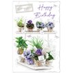 C75 OPEN BIRTHDAY EVERYDAY 6S