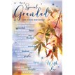 C75 GRANDAD SWALW 6S