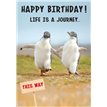 C35 OPEN BIRTHDAY THE LAST LAUGH 6S