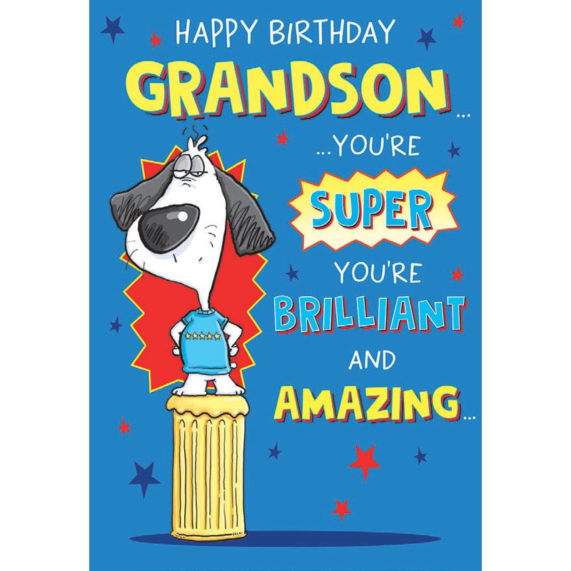 C75 GRANDSON BIRTHDAY THE LAST LAUGH 6S