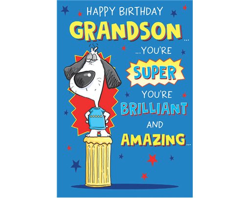 C75 GRANDSON BIRTHDAY THE LAST LAUGH 6S