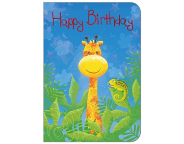 C50 JUVENILE OPEN BIRTHDAY STUDIO OOTB 6S