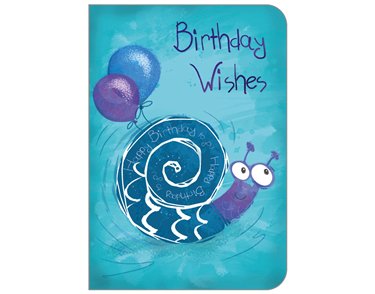 C50 JUVENILE OPEN BIRTHDAY STUDIO OOTB 6S