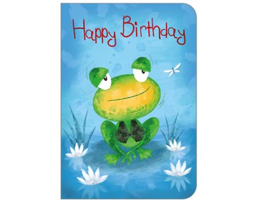 C50 JUVENILE OPEN BIRTHDAY STUDIO OOTB 6S