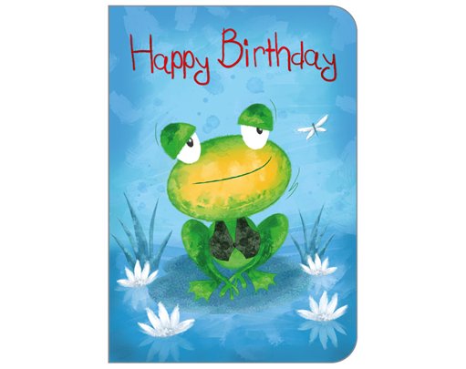 C50 JUVENILE OPEN BIRTHDAY STUDIO OOTB 6S