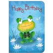 C50 JUVENILE OPEN BIRTHDAY STUDIO OOTB 6S