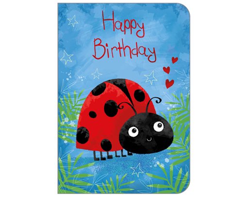 C50 JUVENILE OPEN BIRTHDAY STUDIO OOTB 6S