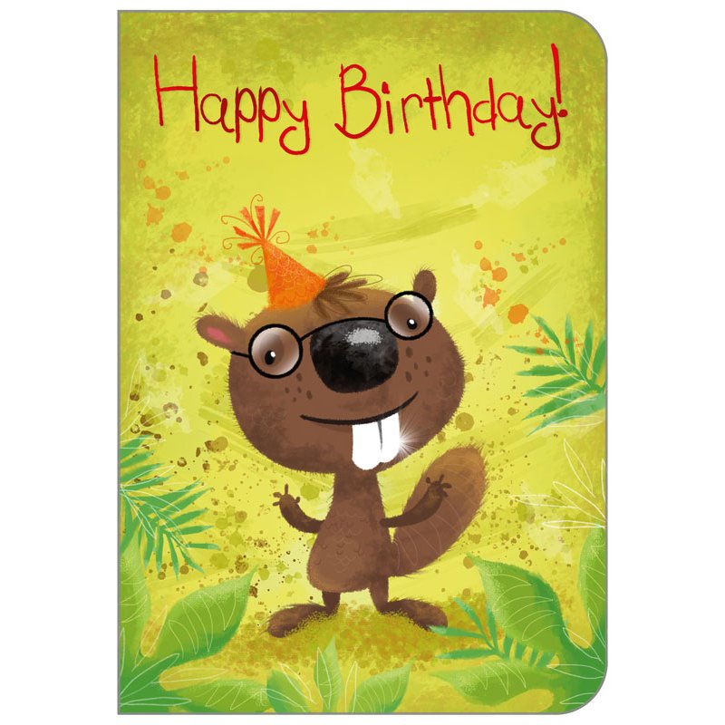 C50 JUVENILE OPEN BIRTHDAY STUDIO OOTB 6S