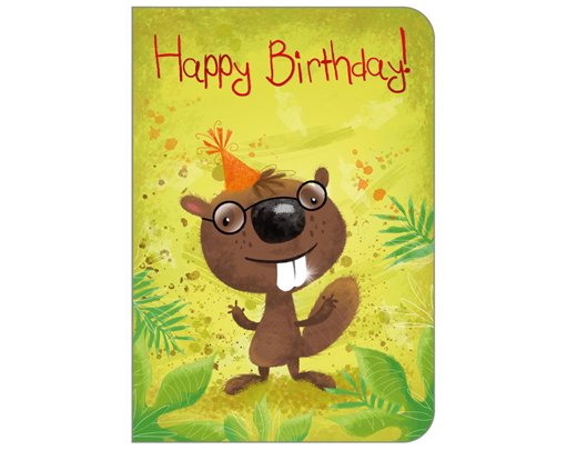 C50 JUVENILE OPEN BIRTHDAY STUDIO OOTB 6S