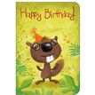 C50 JUVENILE OPEN BIRTHDAY STUDIO OOTB 6S