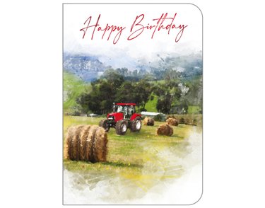 C50 COUNTRY OPEN BIRTHDAY STUDIO OOTB 6S
