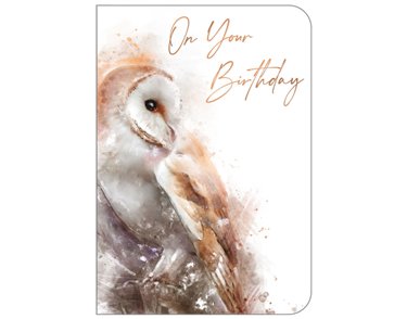 C50 OPEN BIRTHDAY ANIMALS STUDIO OOTB 6S