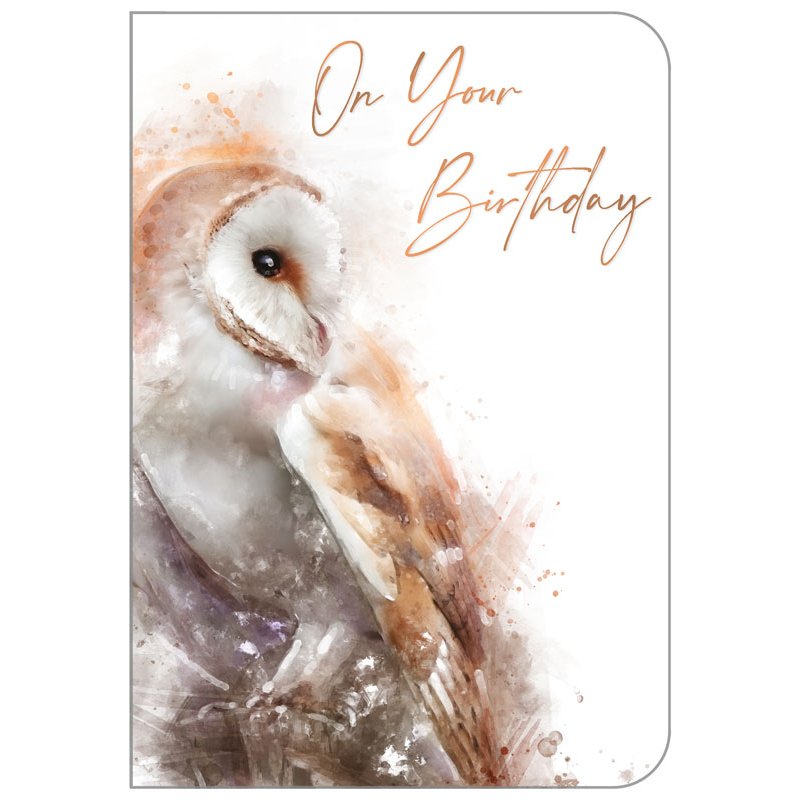 C50 OPEN BIRTHDAY ANIMALS STUDIO OOTB 6S