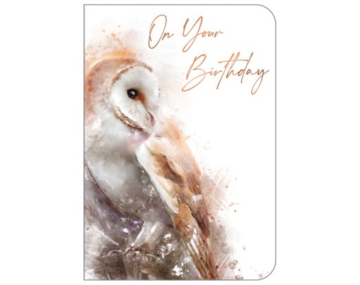 C50 OPEN BIRTHDAY ANIMALS STUDIO OOTB 6S