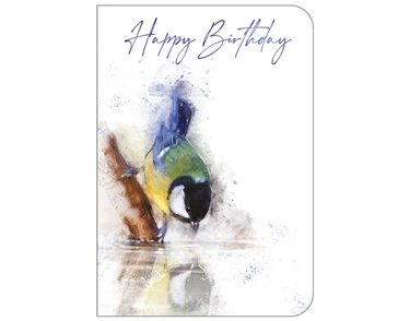 C50 OPEN BIRTHDAY ANIMALS STUDIO OOTB 6S
