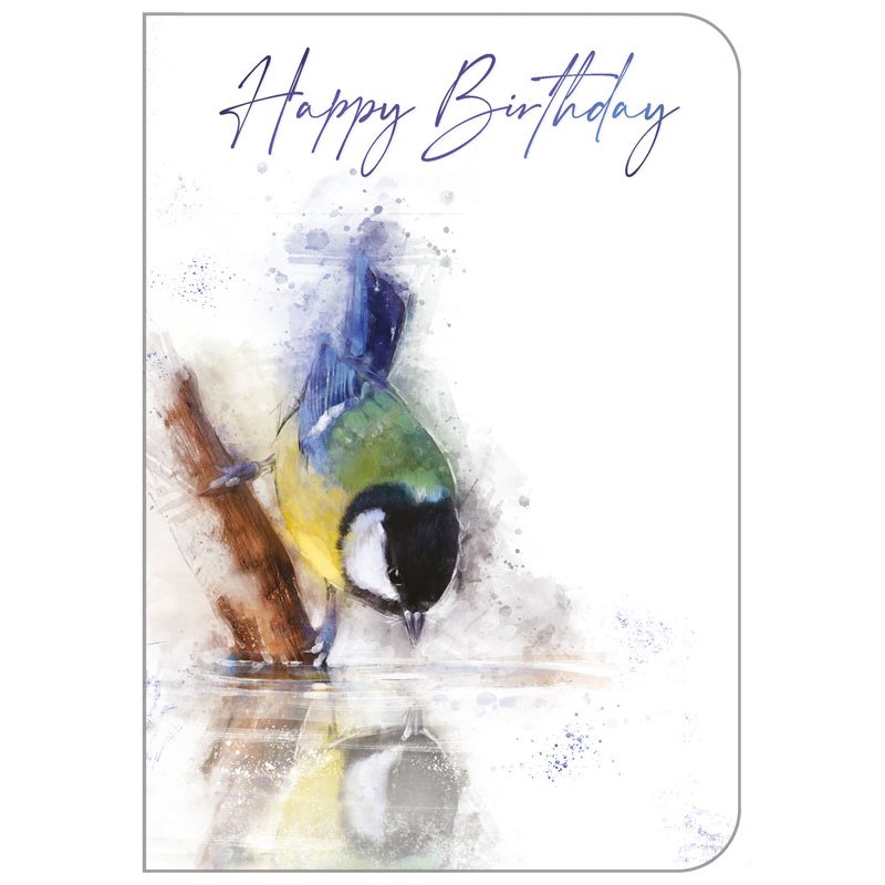C50 OPEN BIRTHDAY ANIMALS STUDIO OOTB 6S