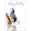 C50 OPEN BIRTHDAY ANIMALS STUDIO OOTB 6S