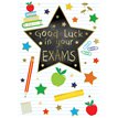 C50 GOOD LUCK EXAMS SILVERLINE 12S