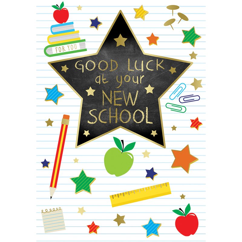 C50 GOOD LUCK NEW SCHOOL SILVERLINE 12S