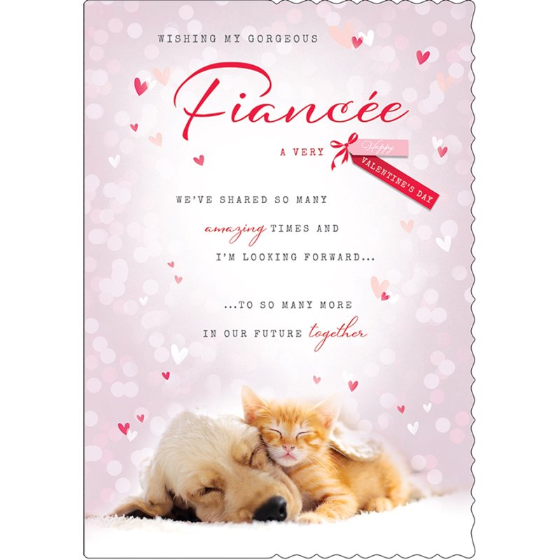 C90 FIANCEE APERTURE COUNTER CARDS VALENTINE'S DAY 6S