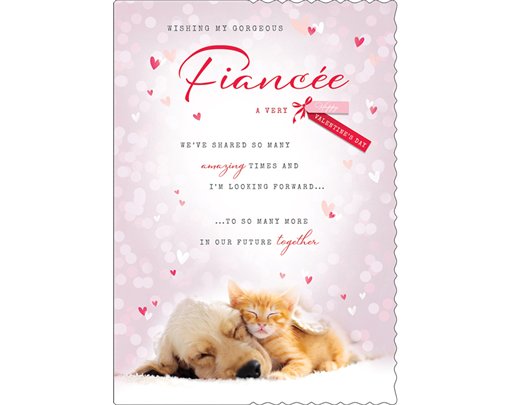 C90 FIANCEE APERTURE COUNTER CARDS VALENTINE'S DAY 6S