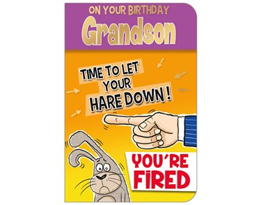 C75 GRANDSON HUMOUR QUIP & WIT 6S