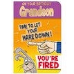C75 GRANDSON HUMOUR QUIP & WIT 6S