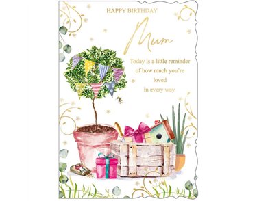C90 MUM BIRTHDAY OOTB 6S