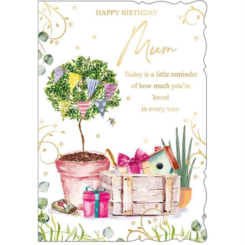 C90 MUM BIRTHDAY OOTB 6S