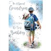 C75 GRANDSON BIRTHDAY KINGFISHER 6S