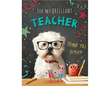 C50 THANK YOU TEACHER BRIGHT SPARKS 6S