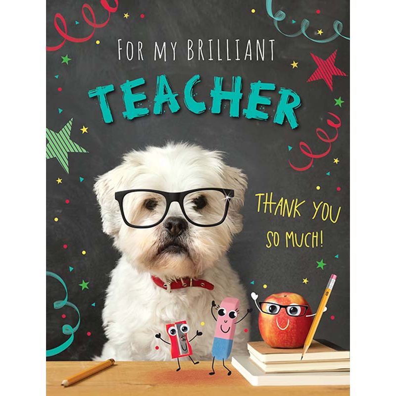 C50 THANK YOU TEACHER BRIGHT SPARKS 6S