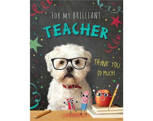 C50 THANK YOU TEACHER BRIGHT SPARKS 6S