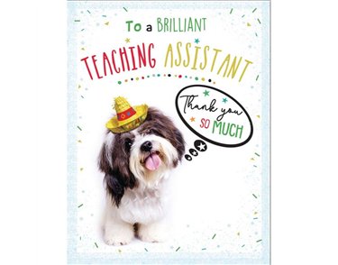 C50 THANK YOU TEACHING ASSISTANT BRIGHT SPARKS 6S