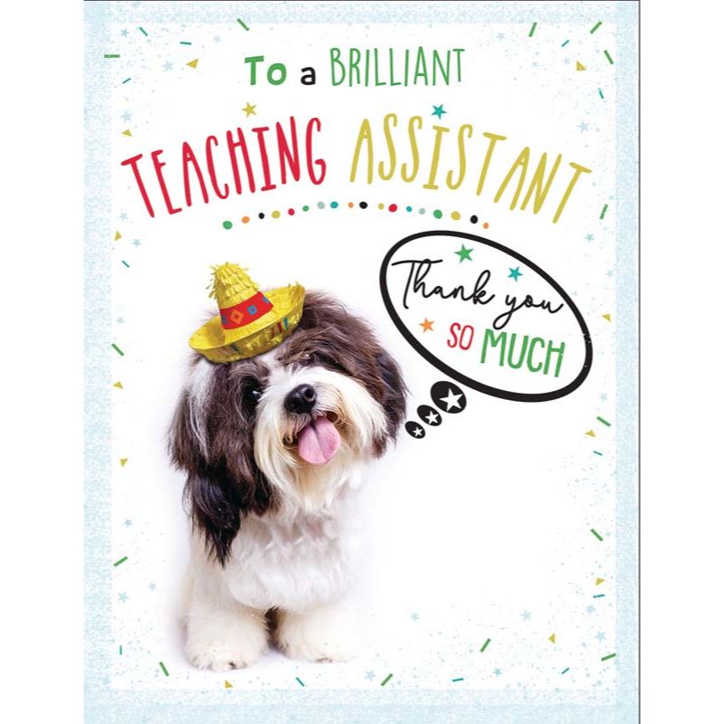 C50 THANK YOU TEACHING ASSISTANT BRIGHT SPARKS 6S