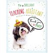 C50 THANK YOU TEACHING ASSISTANT BRIGHT SPARKS 6S
