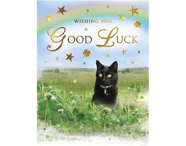 C50 GOOD LUCK SPECIAL THOUGHTS 6S