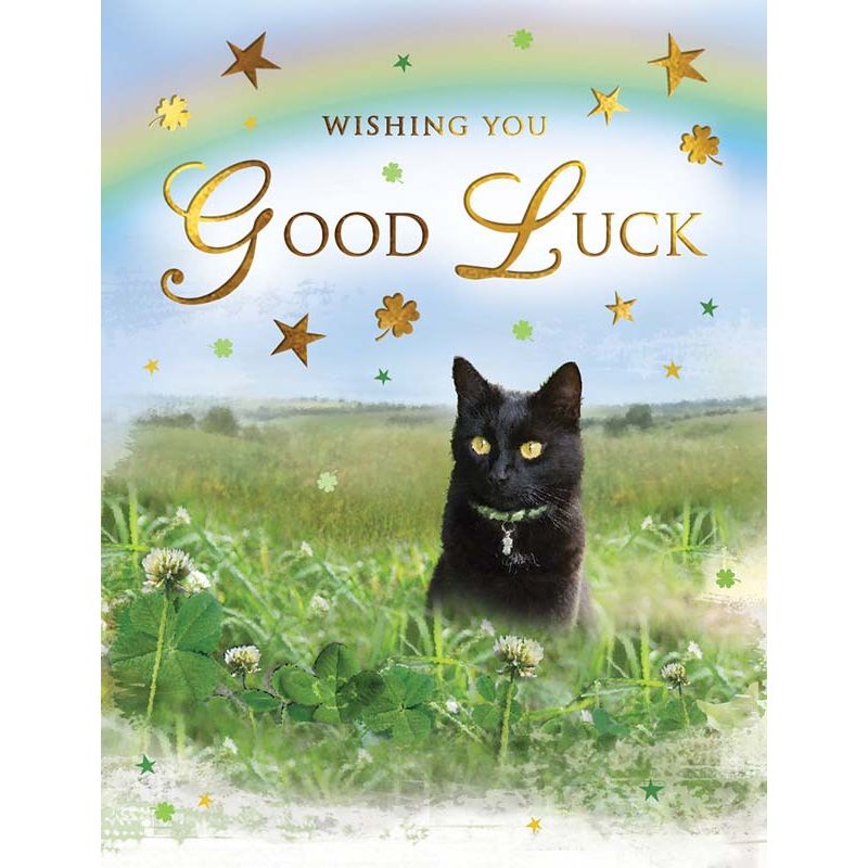 C50 GOOD LUCK SPECIAL THOUGHTS 6S
