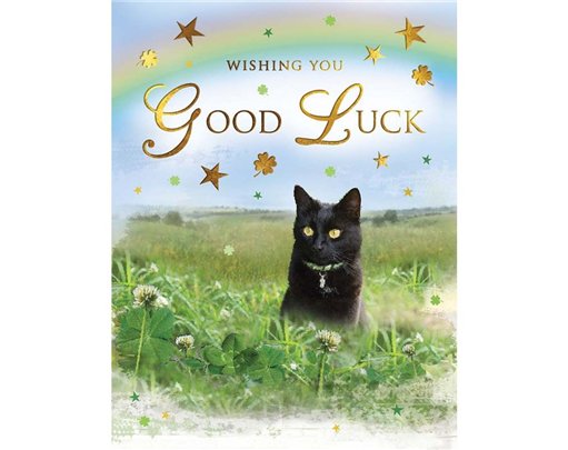 C50 GOOD LUCK SPECIAL THOUGHTS 6S