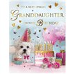 C50 GRANDDAUGHTER BIRTHDAY SPECIAL THOUGHTS 6S