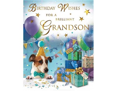 C50 GRANDSON BIRTHDAY SPECIAL THOUGHTS 6S