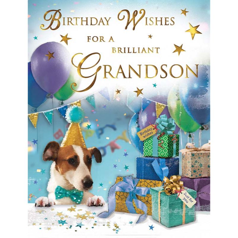 C50 GRANDSON BIRTHDAY SPECIAL THOUGHTS 6S