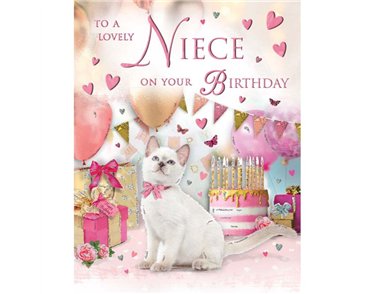 C50 NIECE BIRTHDAY  SPECIAL THOUGHTS 6S