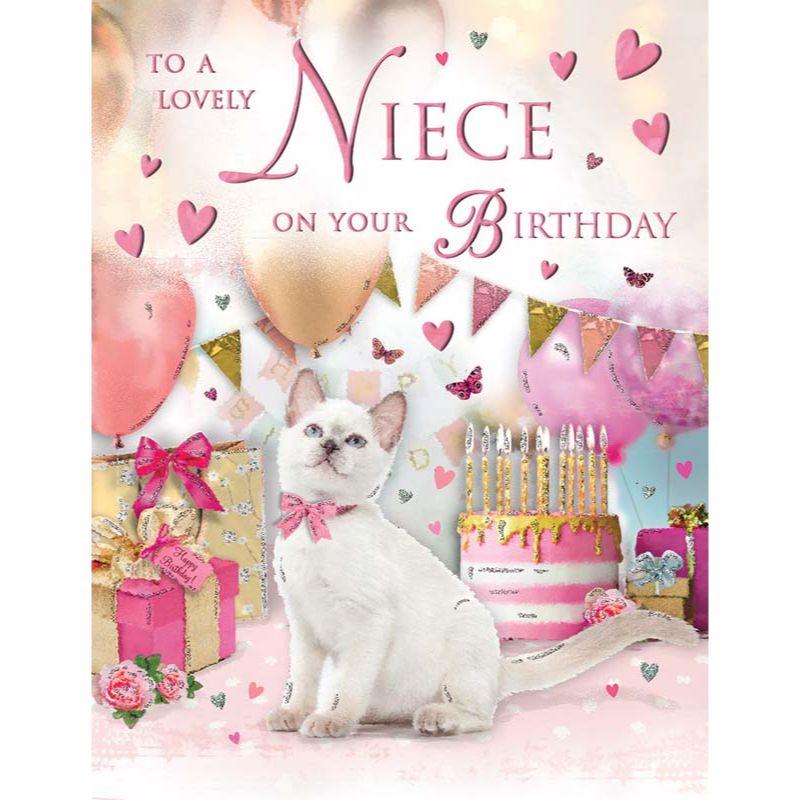 C50 NIECE BIRTHDAY  SPECIAL THOUGHTS 6S