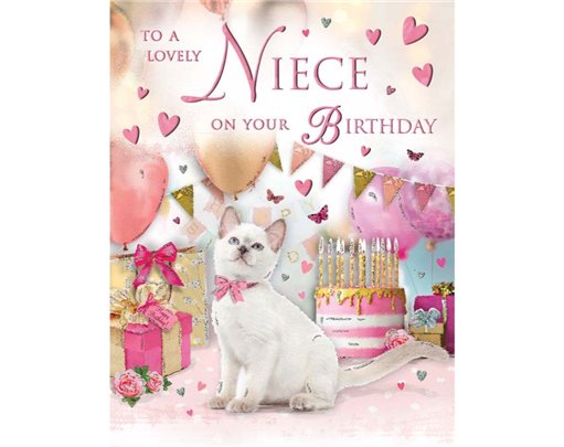 C50 NIECE BIRTHDAY  SPECIAL THOUGHTS 6S